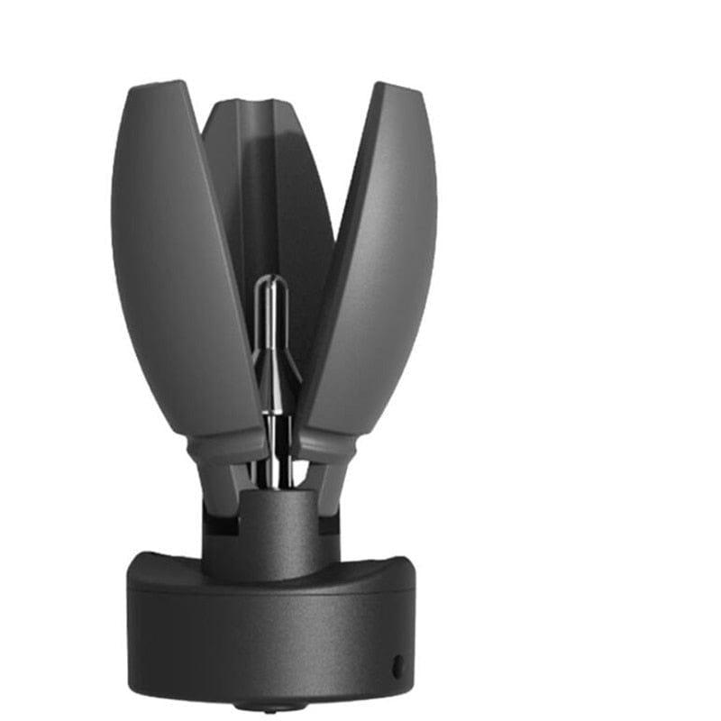 Plug carteur anal dilatation | Tushy Toys Plug carteur anal dilatation | Tushy Toys